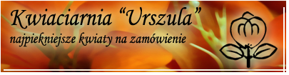 www.kwiaciarnia-ciechocinek.pl